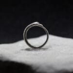 Ouroboros Ring Snake eating tale