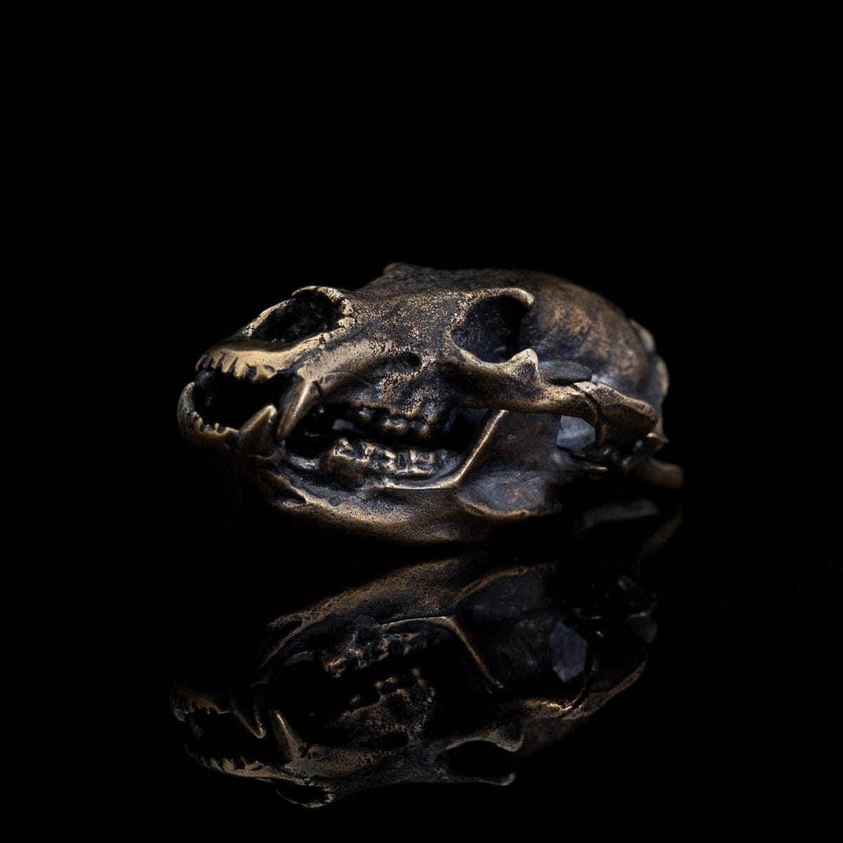 Anatomically accurate Bear Skull Pendant - Image 3