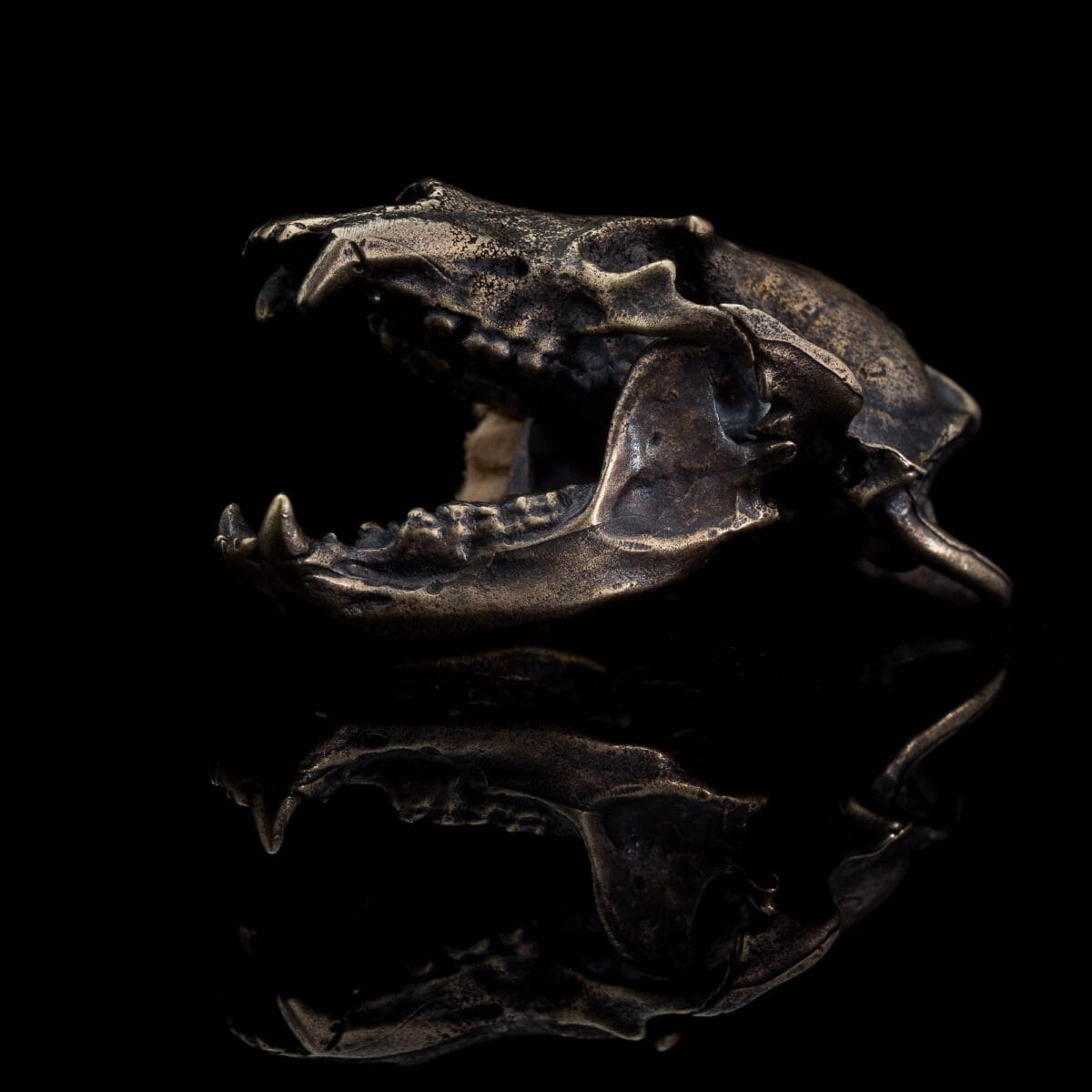 Anatomically accurate Bear Skull Pendant - Image 5