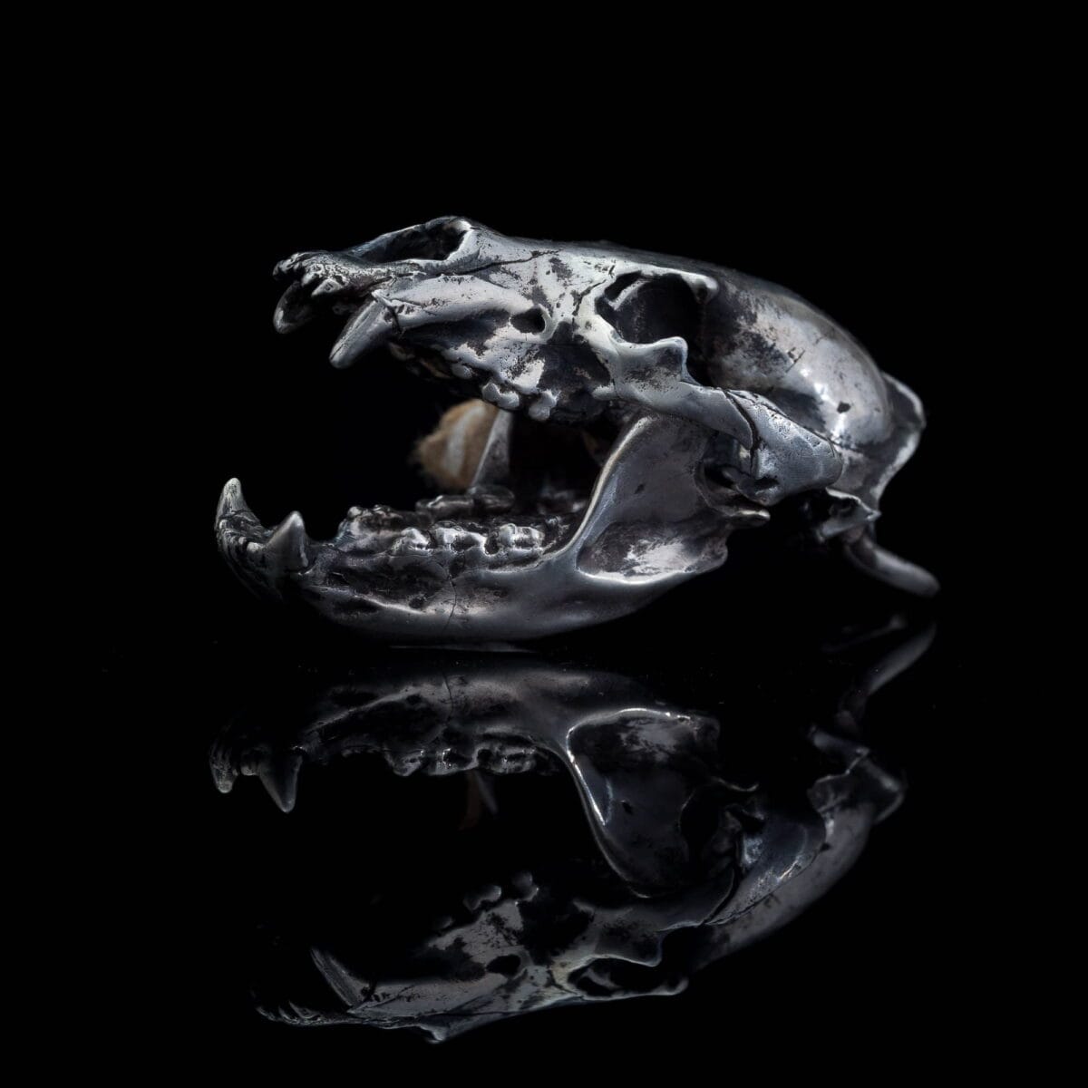 Anatomically accurate Bear Skull Pendant - Image 2