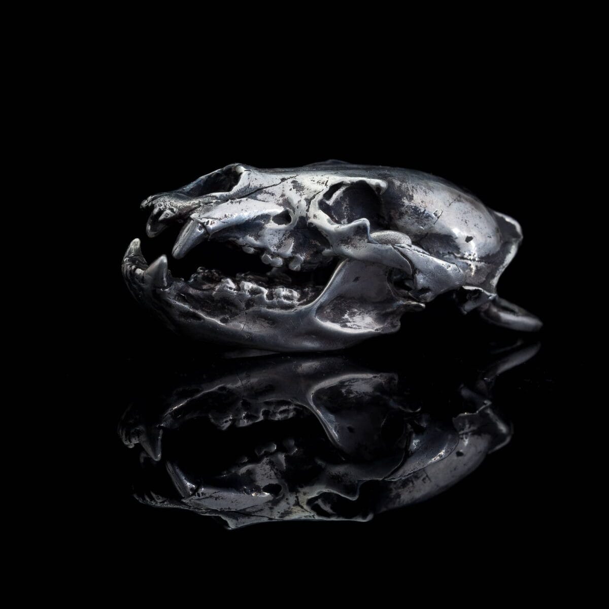 Anatomically accurate Bear Skull Pendant - Image 1