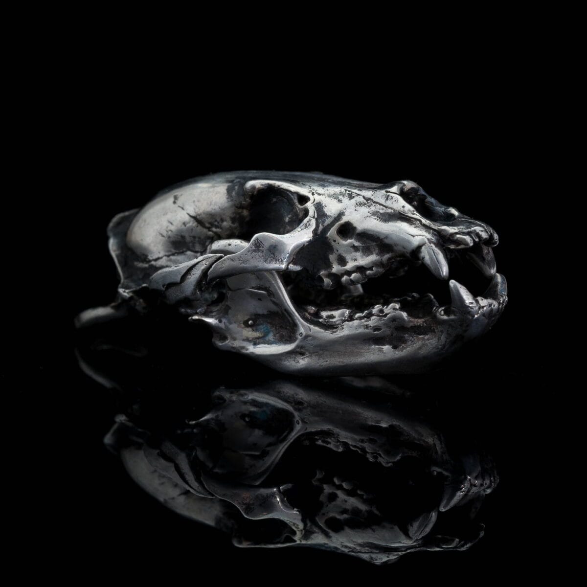 Anatomically accurate Bear Skull Pendant - Image 6