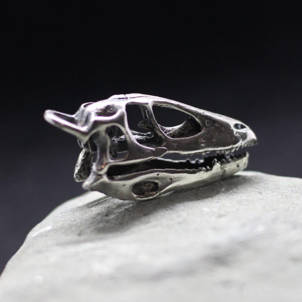 Deinonychus dinosaur skull. Dinosaur skull pendant - Image 3