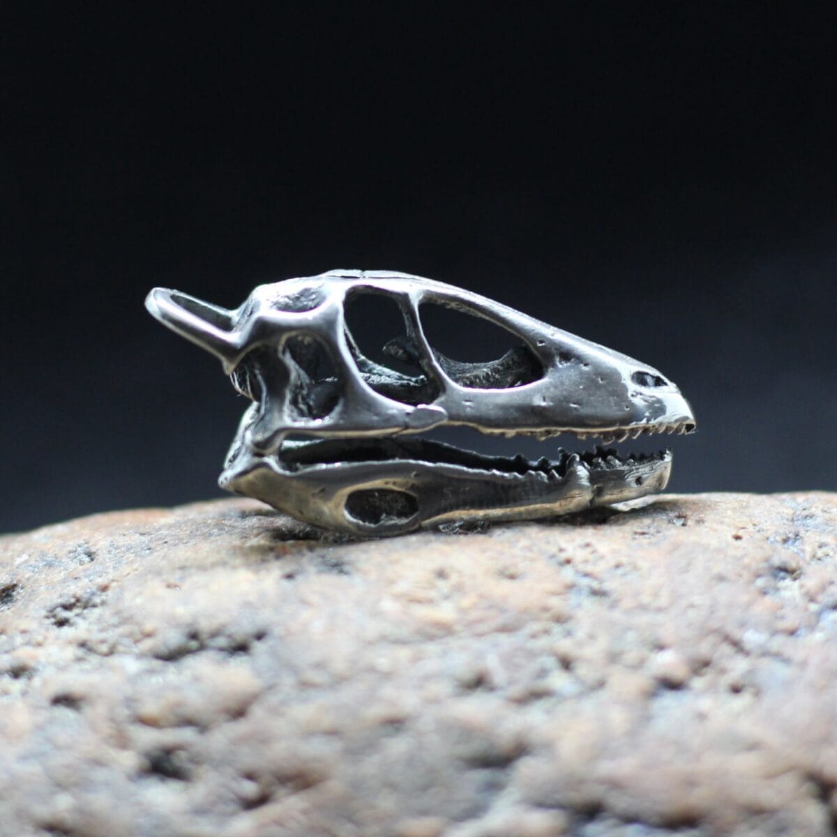 Deinonychus dinosaur skull. Dinosaur skull pendant - Image 4