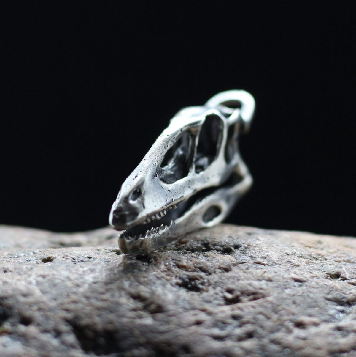 Deinonychus dinosaur skull. Dinosaur skull pendant - Image 2