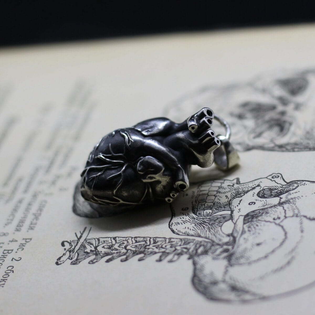 Anatomical Human heart casket-box pendant - Image 2