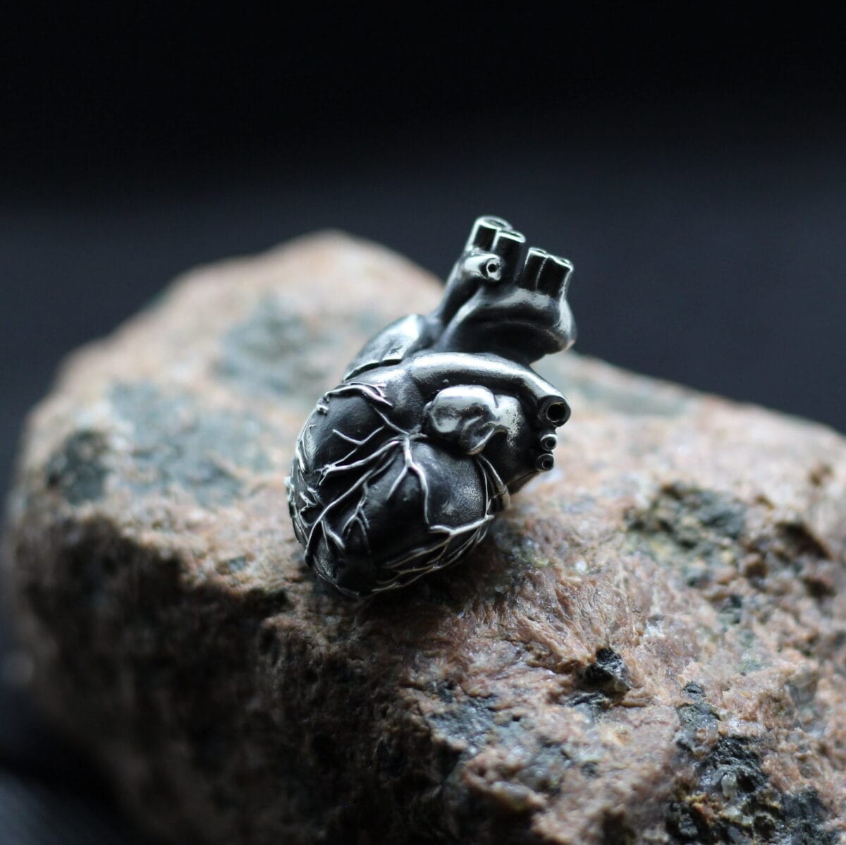 IMG_1791 Anatomical Human heart casket-box pendant - Image 1
