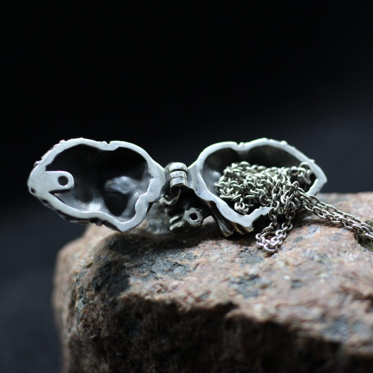 Anatomical Human heart casket-box pendant - Image 3