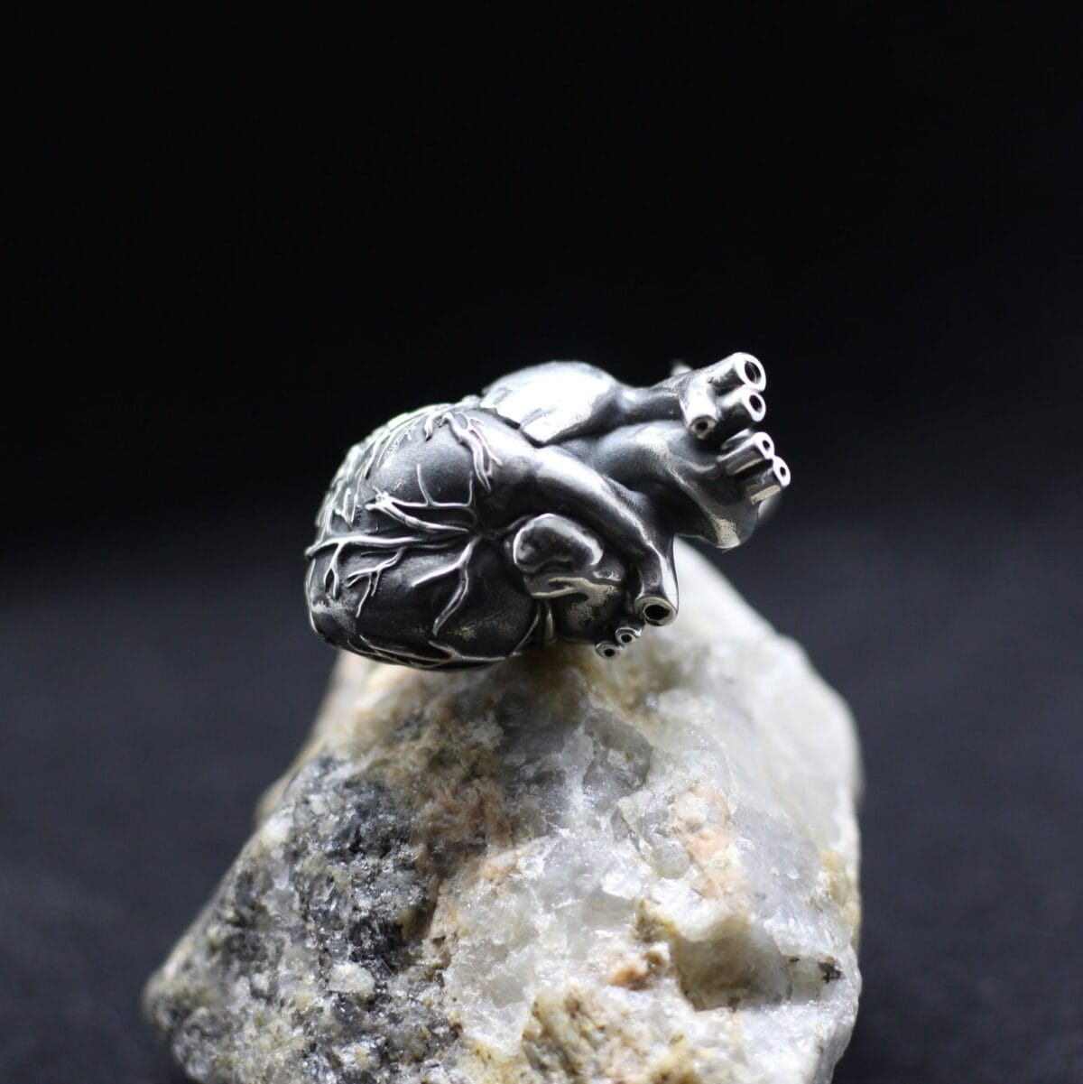 Anatomical Human heart casket-box pendant - Image 4