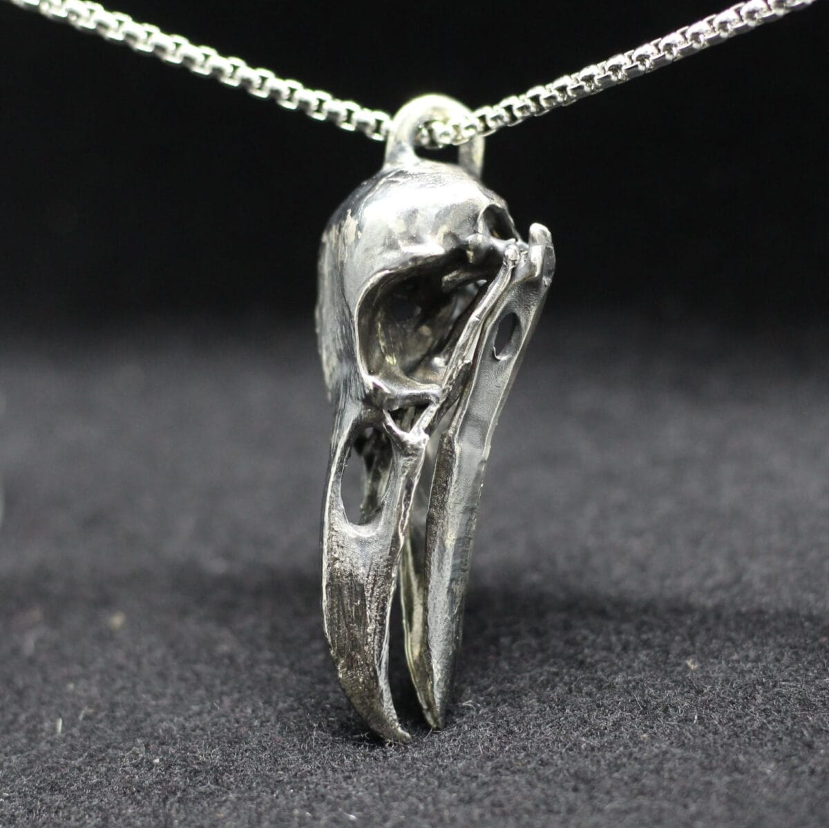 Big anatomically raven crow skull pendant - Image 4