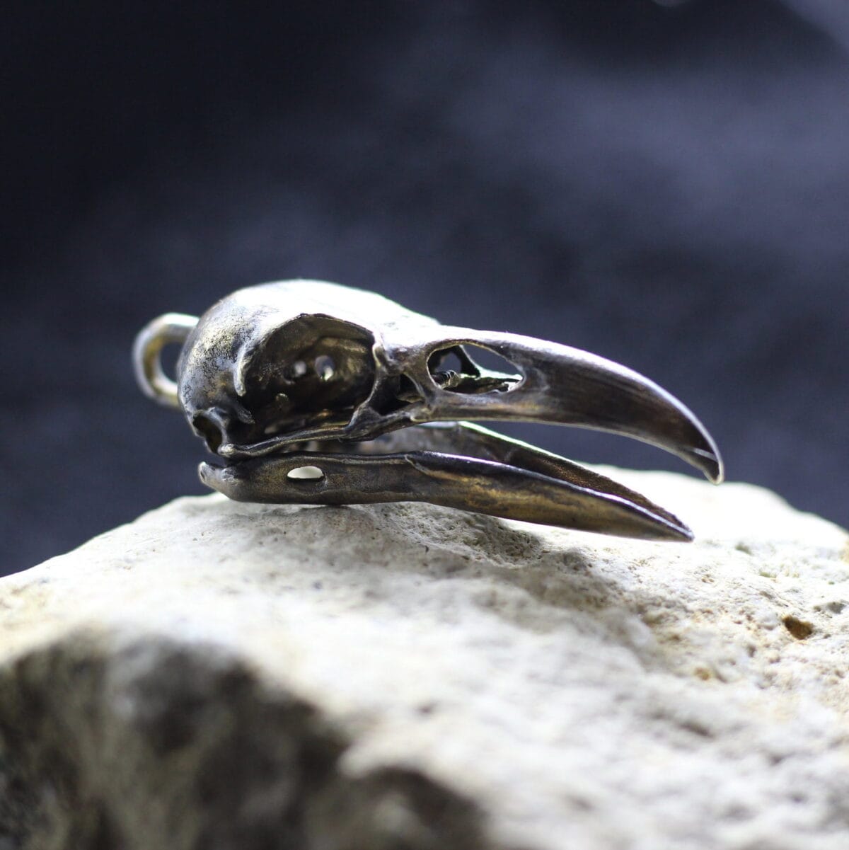 Big anatomically raven crow skull pendant - Image 1