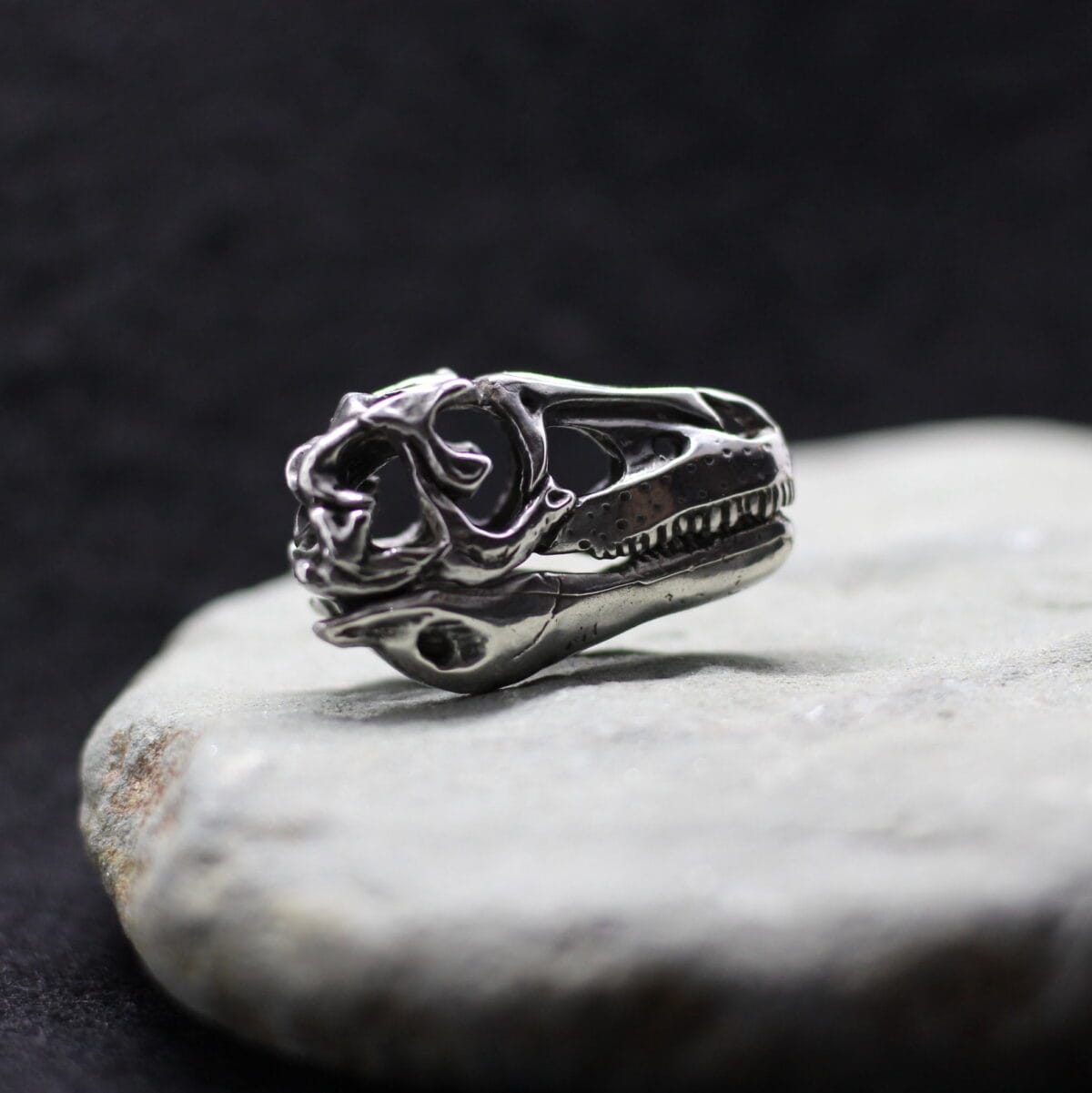 Tarbosaurus Tyrannosaurus dinosaur skull pendant - Image 3