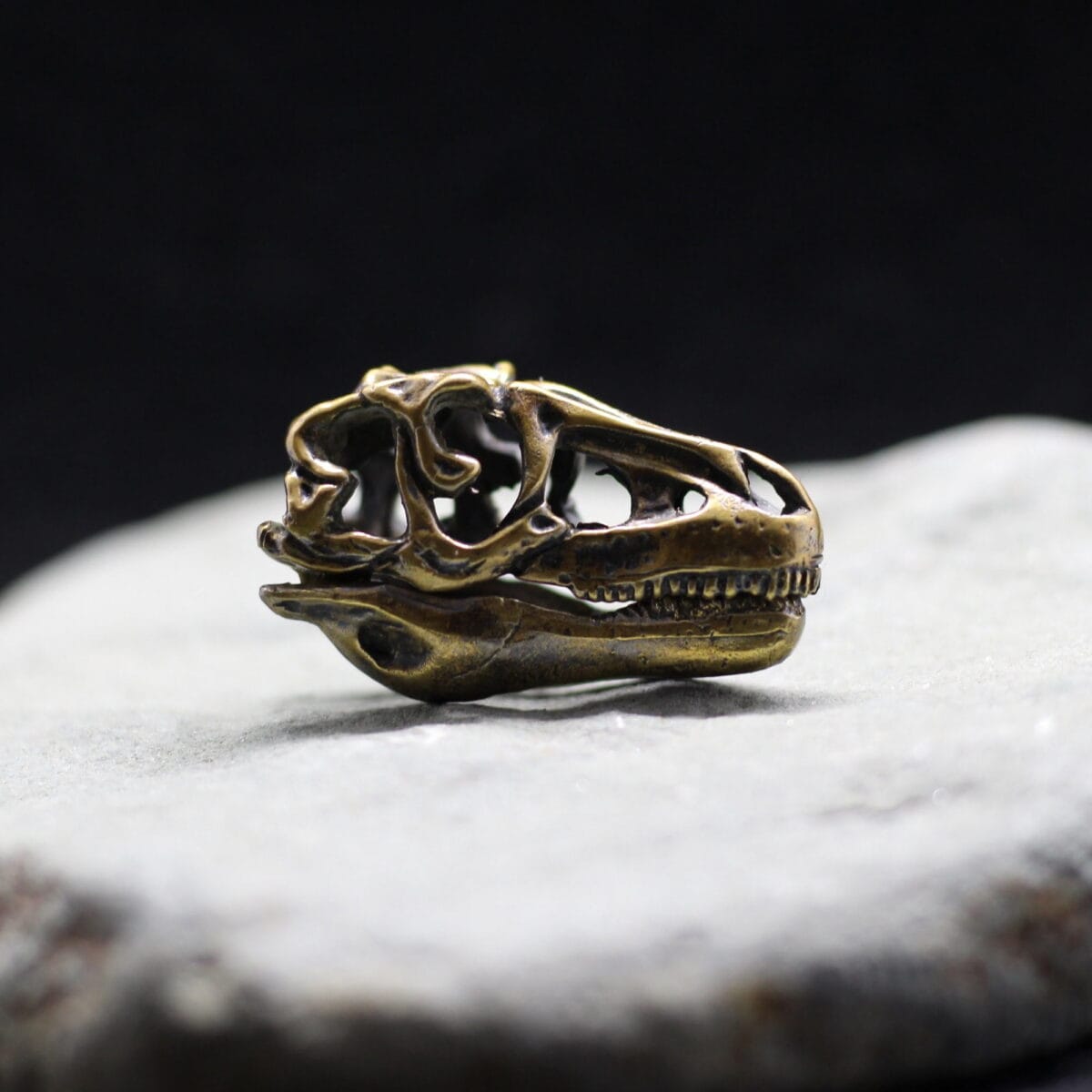 Tarbosaurus Tyrannosaurus dinosaur skull pendant - Image 6