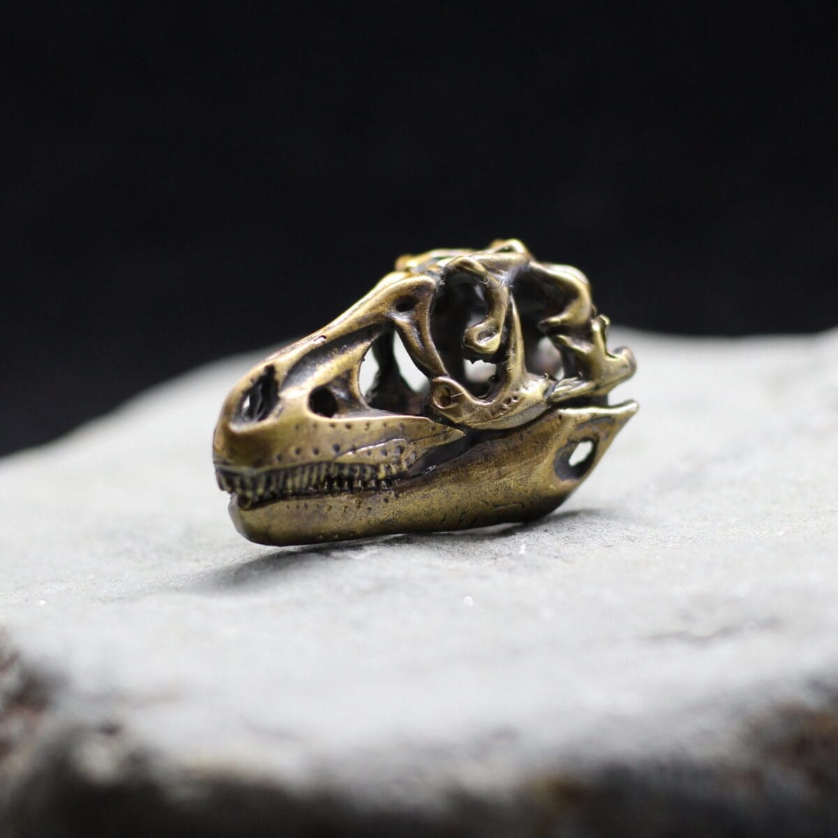 Tarbosaurus Tyrannosaurus dinosaur skull pendant - Image 5