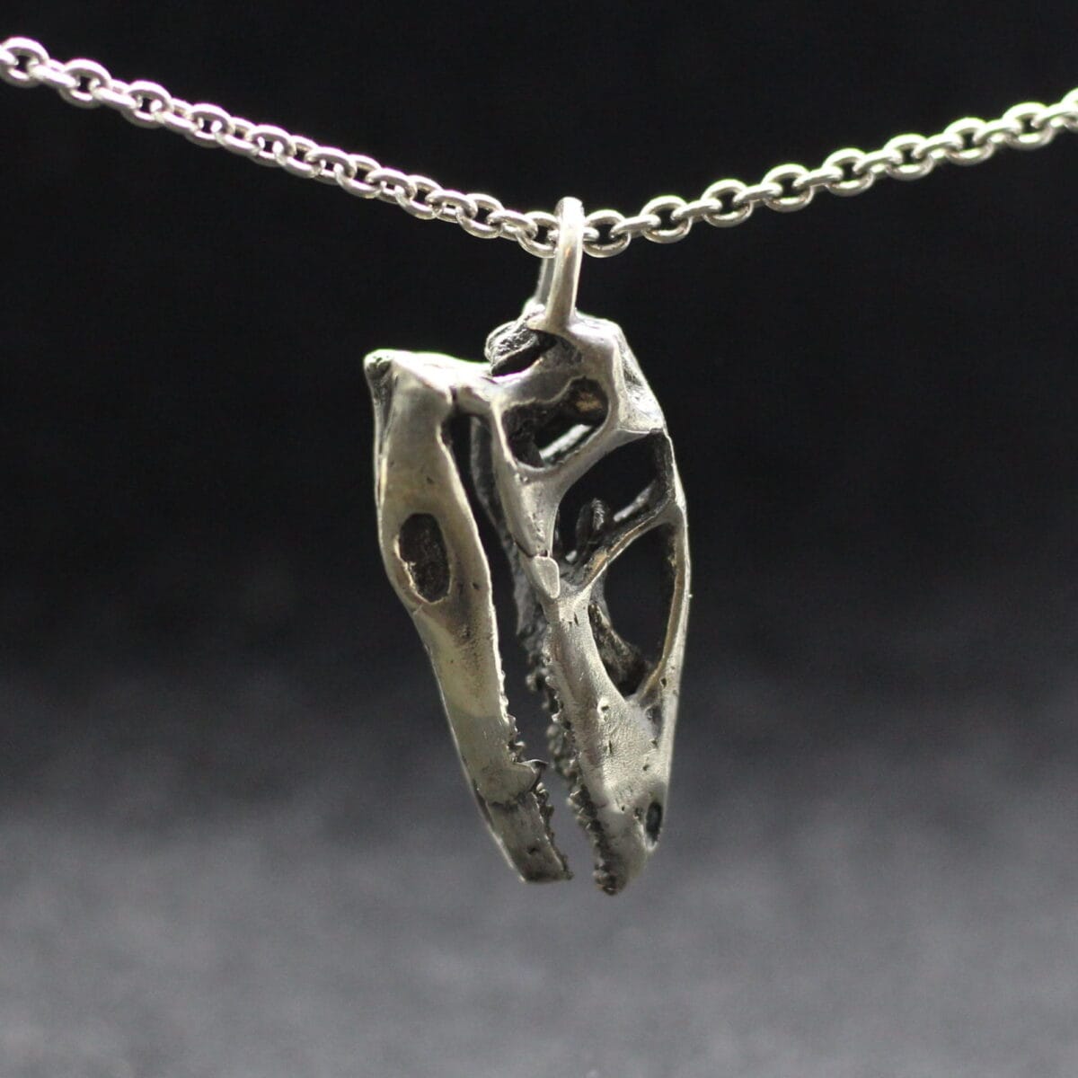 Deinonychus dinosaur skull. Dinosaur skull pendant - Image 1