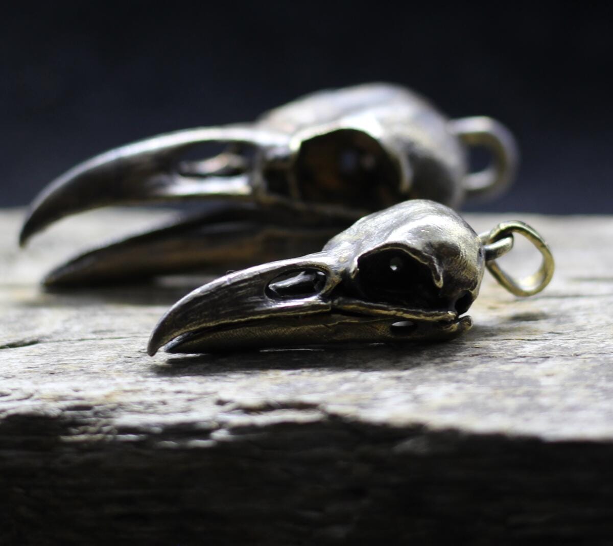 Small anatomically raven crow skull pendant