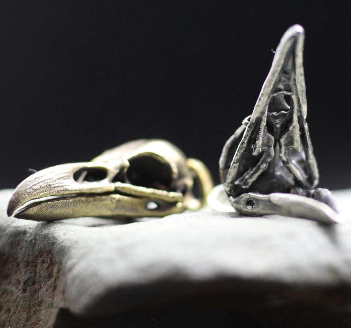 Small anatomically raven crow skull pendant