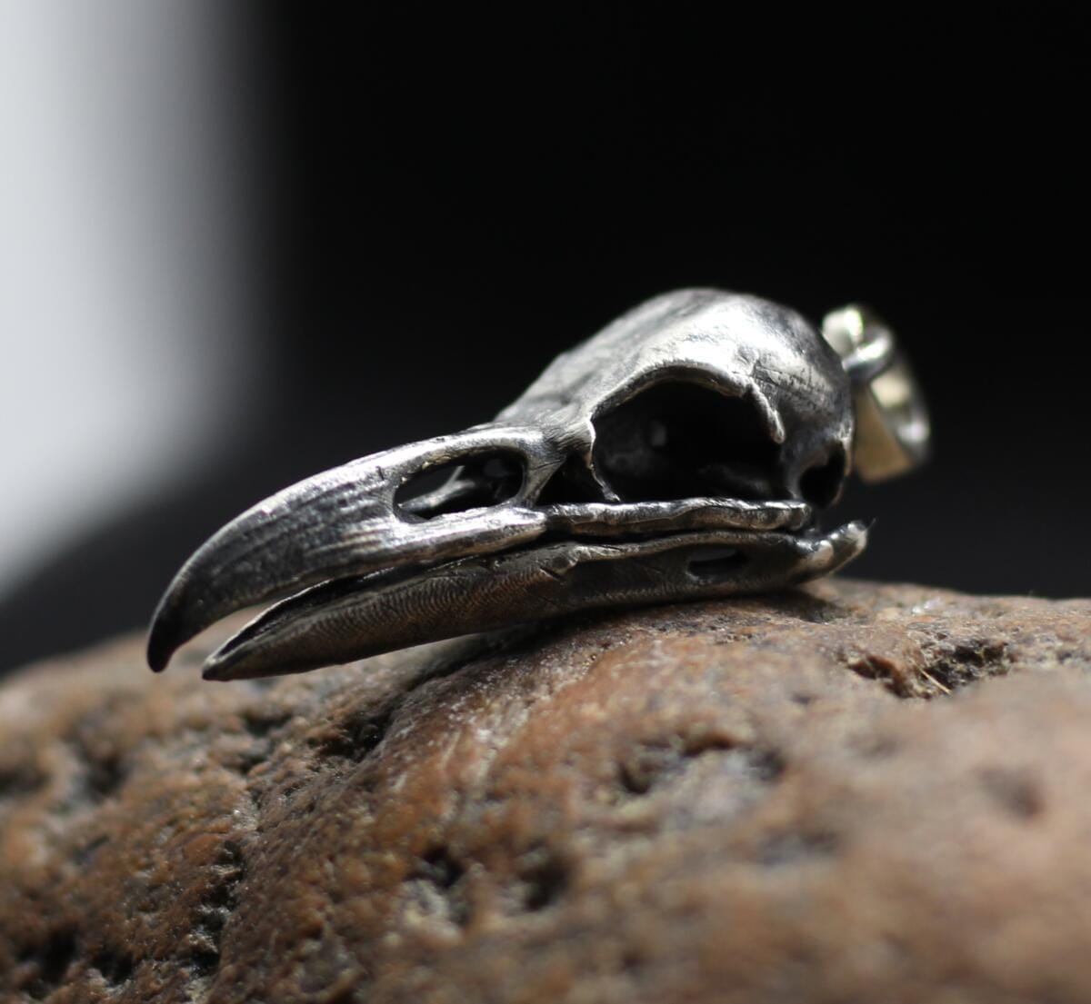 Small anatomically raven crow skull pendant