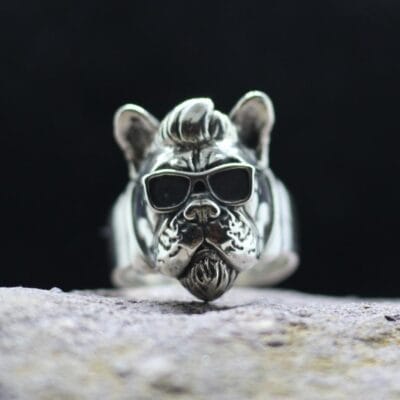 Pug-dog Hipster in sunglasses Trendy mod Pug