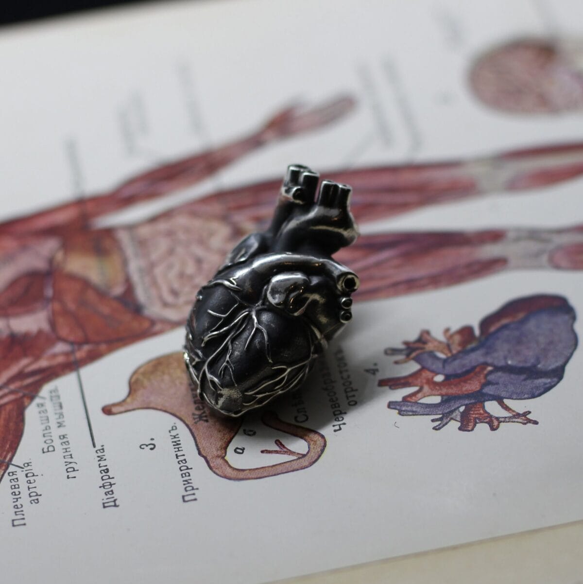 All-metall Anatomical Human heart pendant - Image 2