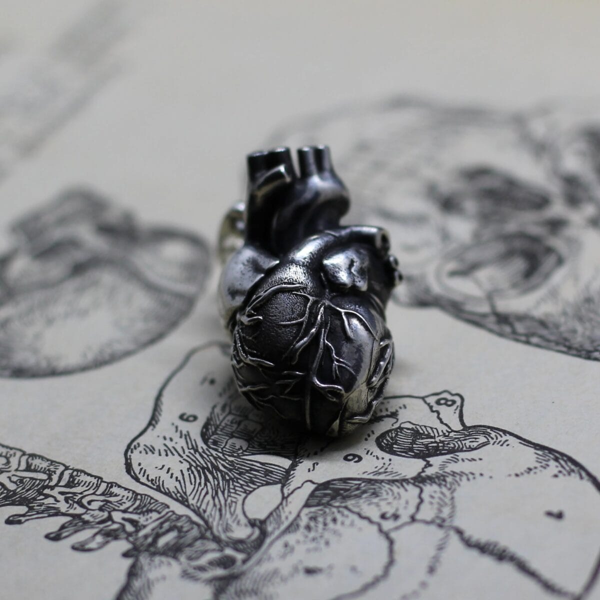 All-metall Anatomical Human heart pendant - Image 4