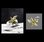Moon-and-Star Morrowind Elder scrolls ring